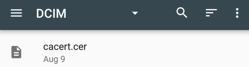Android Settings, Security screen showing the Install from SD card option used to add a certificate authority